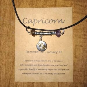Capricorn Zodiac Vibe Bar Necklace – Garnet & Amethyst with Capricorn Charm